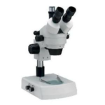 Stereoscopic Microscope 